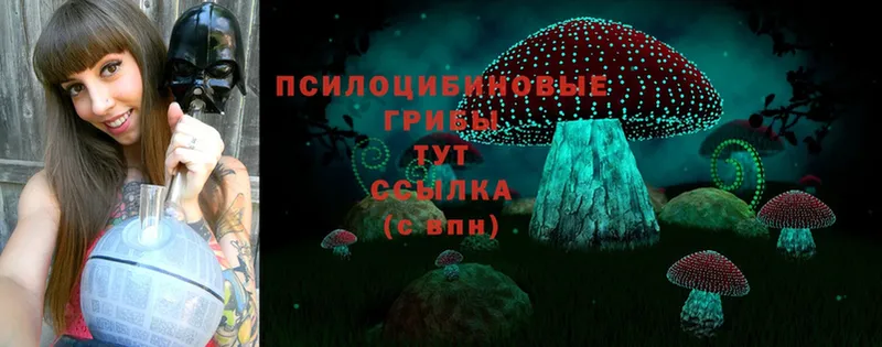 купить закладку  Звенигород  Галлюциногенные грибы Psilocybine cubensis 